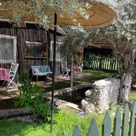 Mavimaris Doga Evleri מרמריס