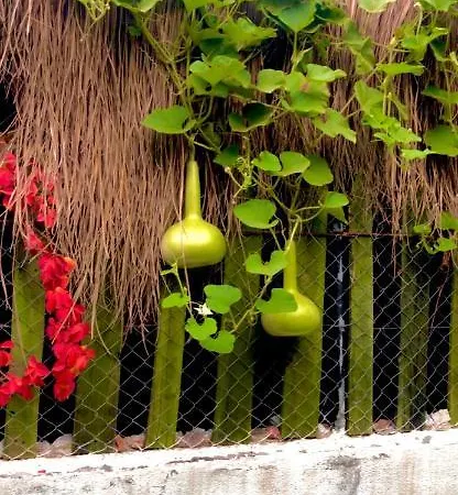 Appart hôtel Mavimaris Doga Evleri