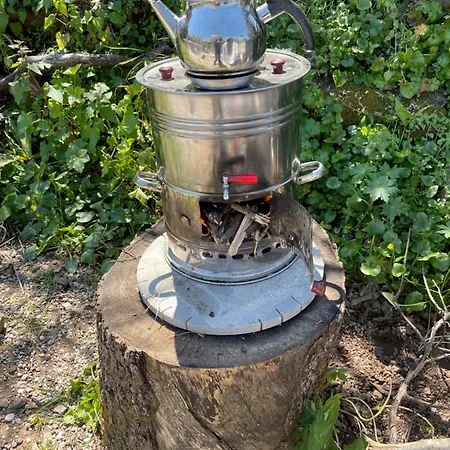 Mavimaris Doga Evleri 马尔马里斯